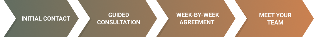 Camden care process visualization in horizontal steps.